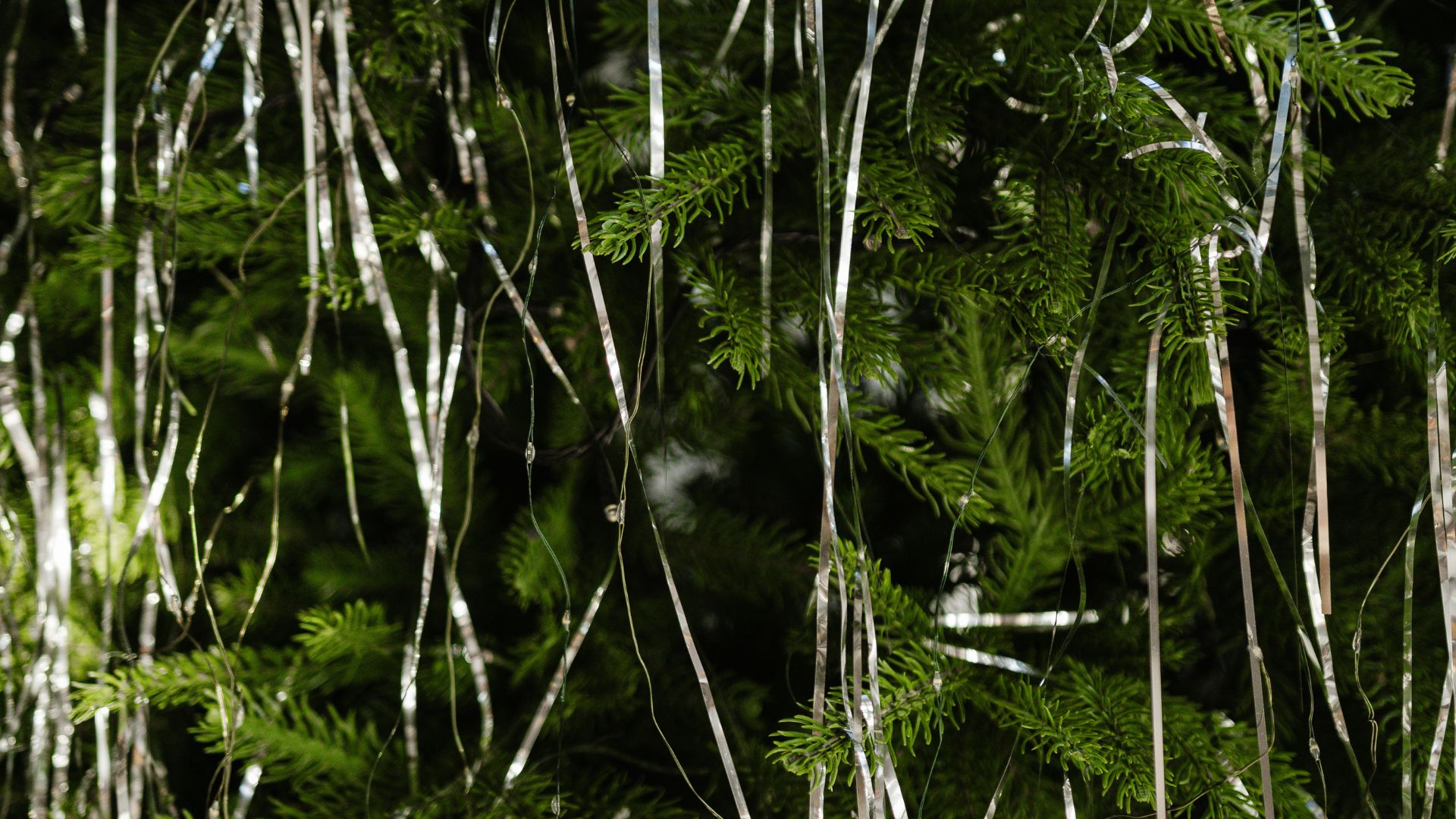 picture of tinsel strewn on christmas tree