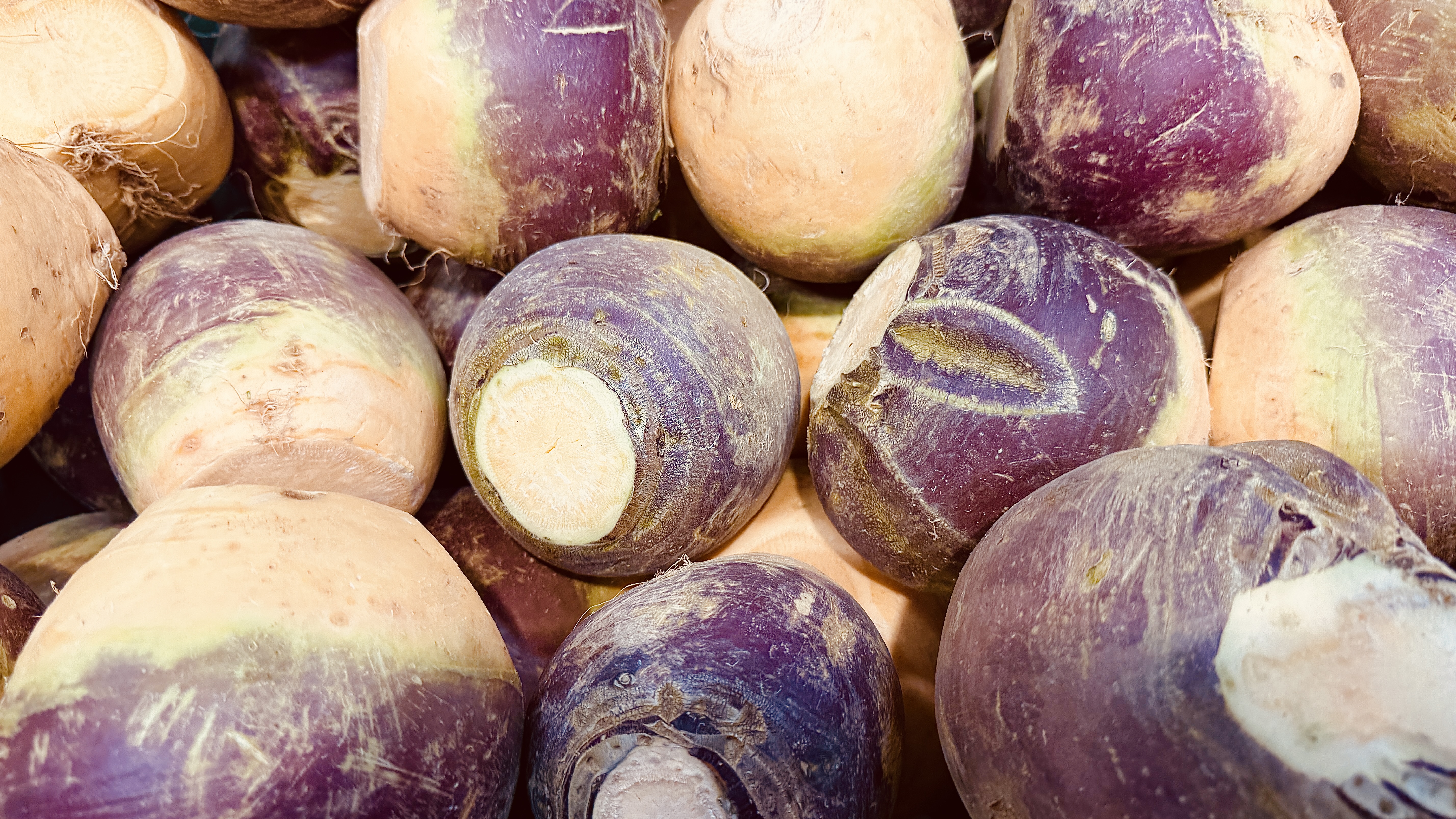 Close-up of a pile of purple and cream swede vegetables 