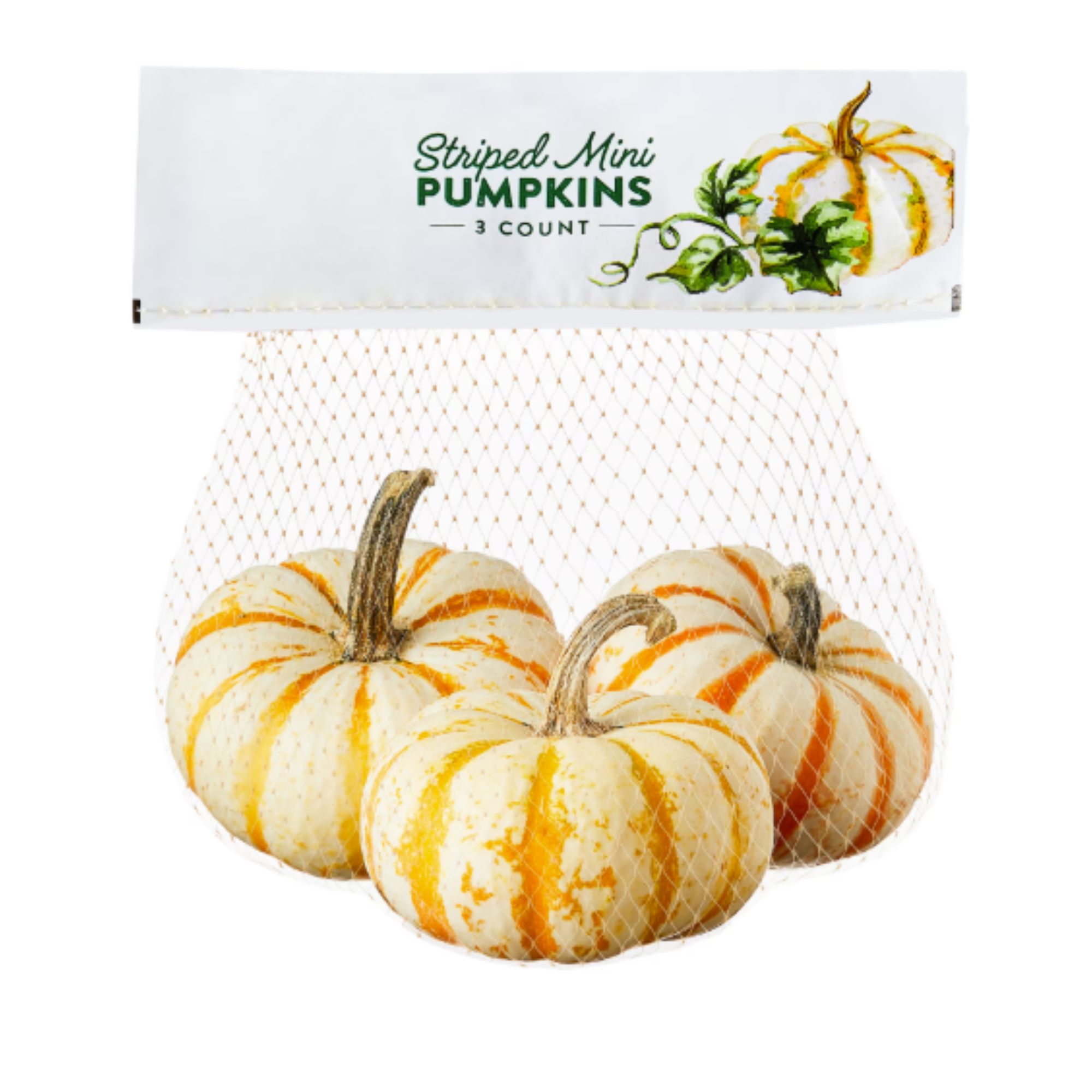 Fresh Mini Tiger Striped Pumpkins, 3 Count Bag