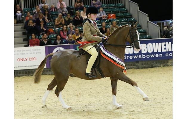 Gwithian-Geraint