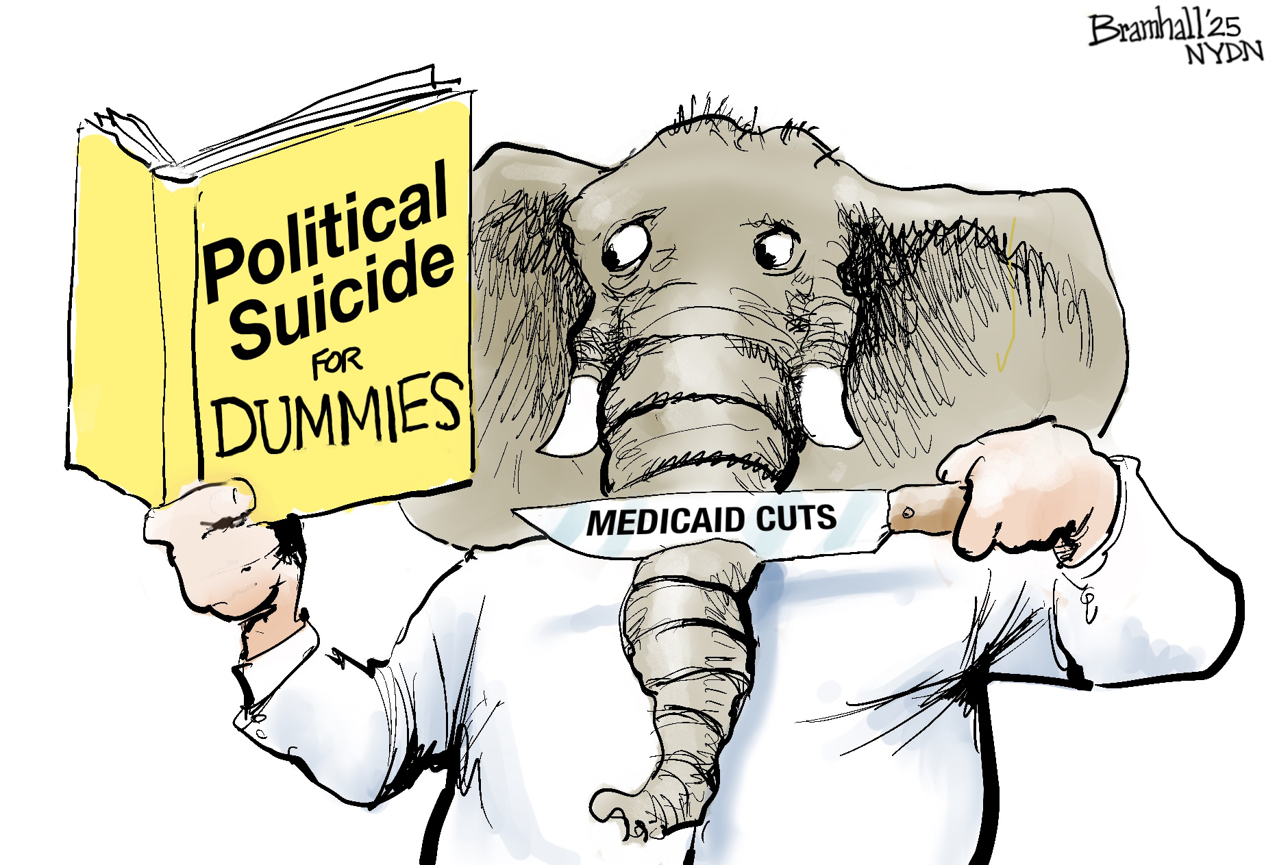 Political Cartoon