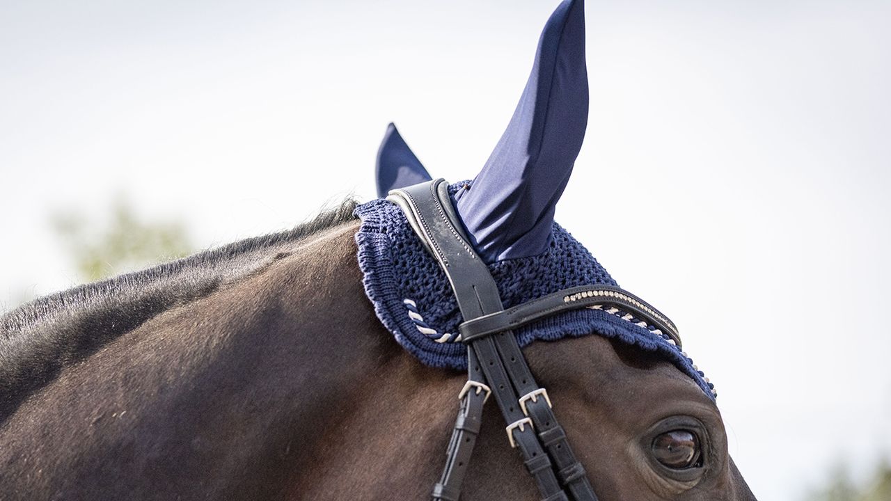 Equipe fly veil review