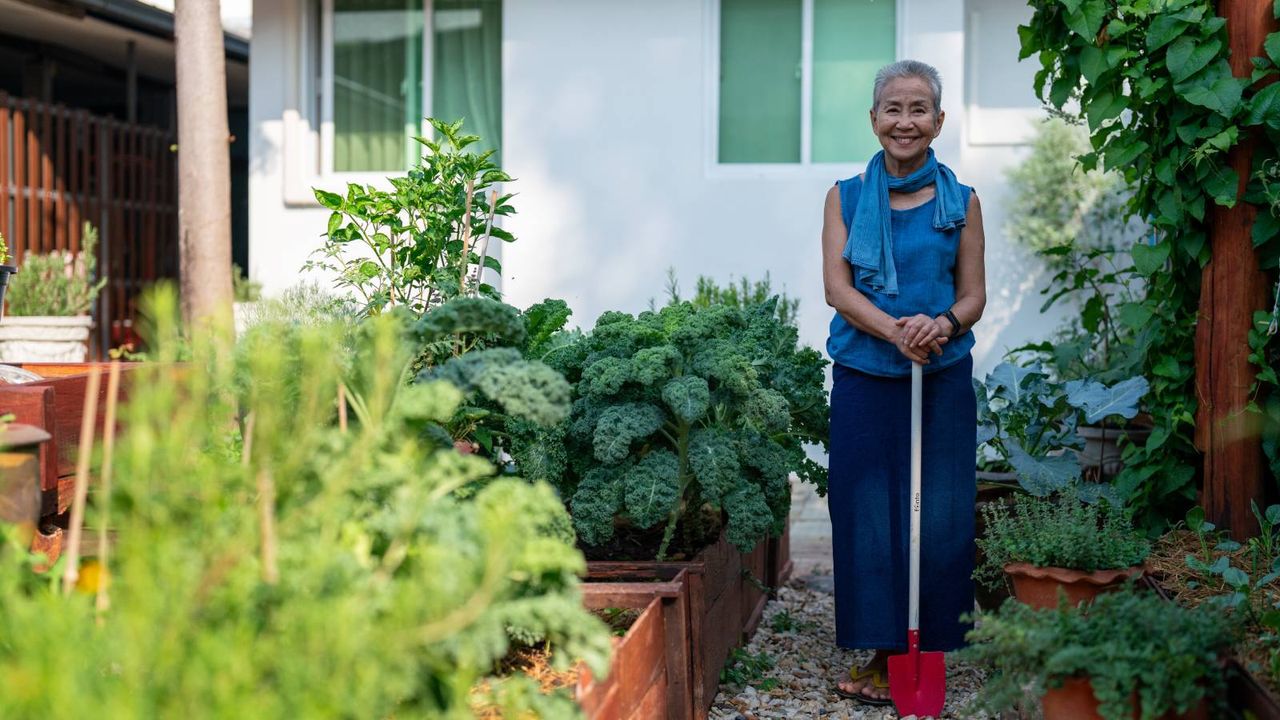 Woman stands in raised bed garden