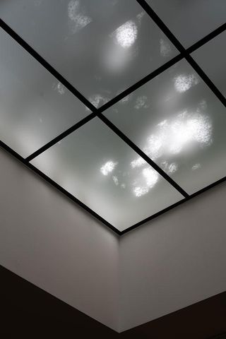 Momo Skin Studio interior skylight