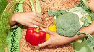 Someone holds various plant foods