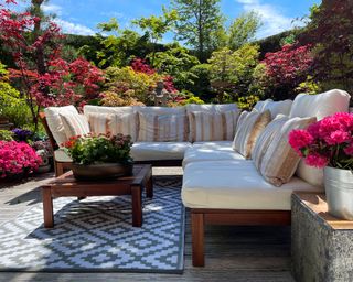garden patio with pink azalea in pot