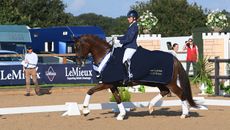 National Dressage Championships prelim silver Anna Burns