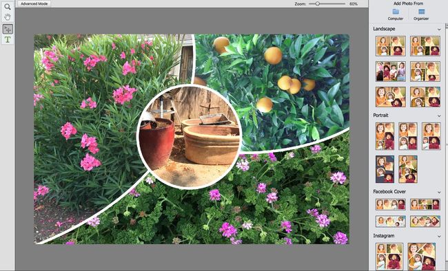 adobe photoshop elements 2019 windows download version reviews