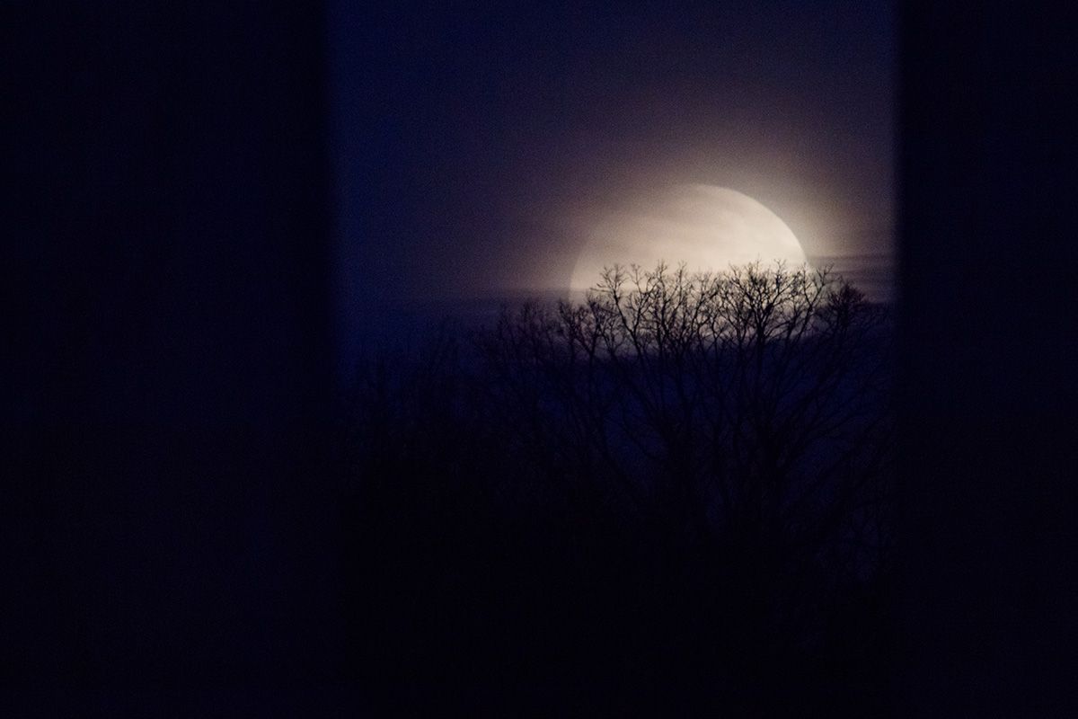 In Photos: The Rare Super Blue Blood Moon Lunar Eclipse of 2018: Page 2 ...