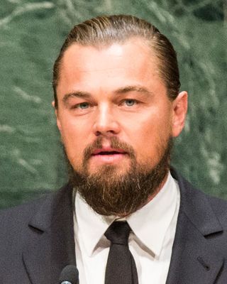 Leonardo DiCaprio's Wooly Beard