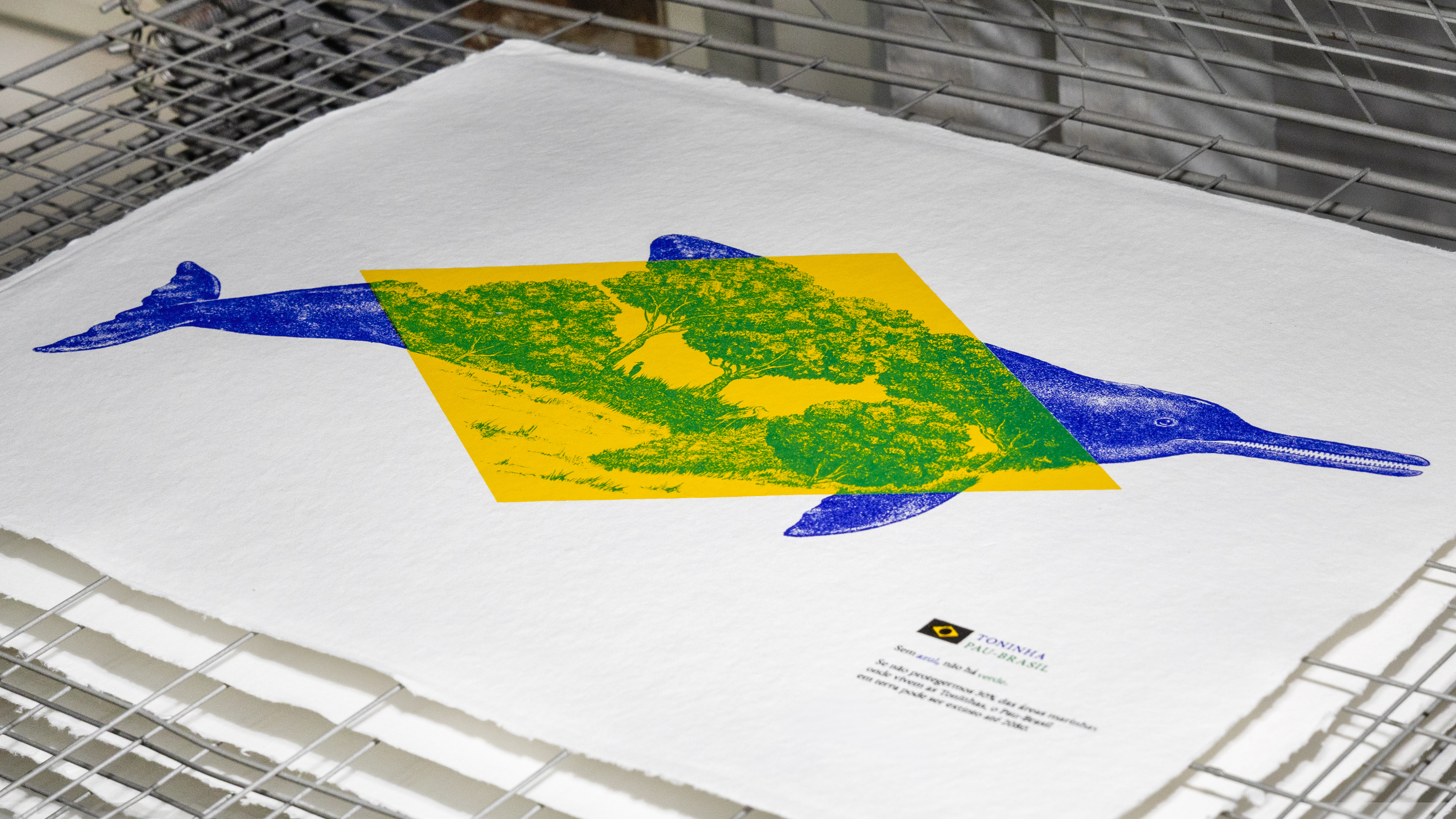 No blue, no green by Diego Limberti, Chief Design Officer of Droga5 S&amp;atilde;o Paulo