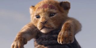 Baby Simba at Pride Rock in live-action Lion King 2019 film