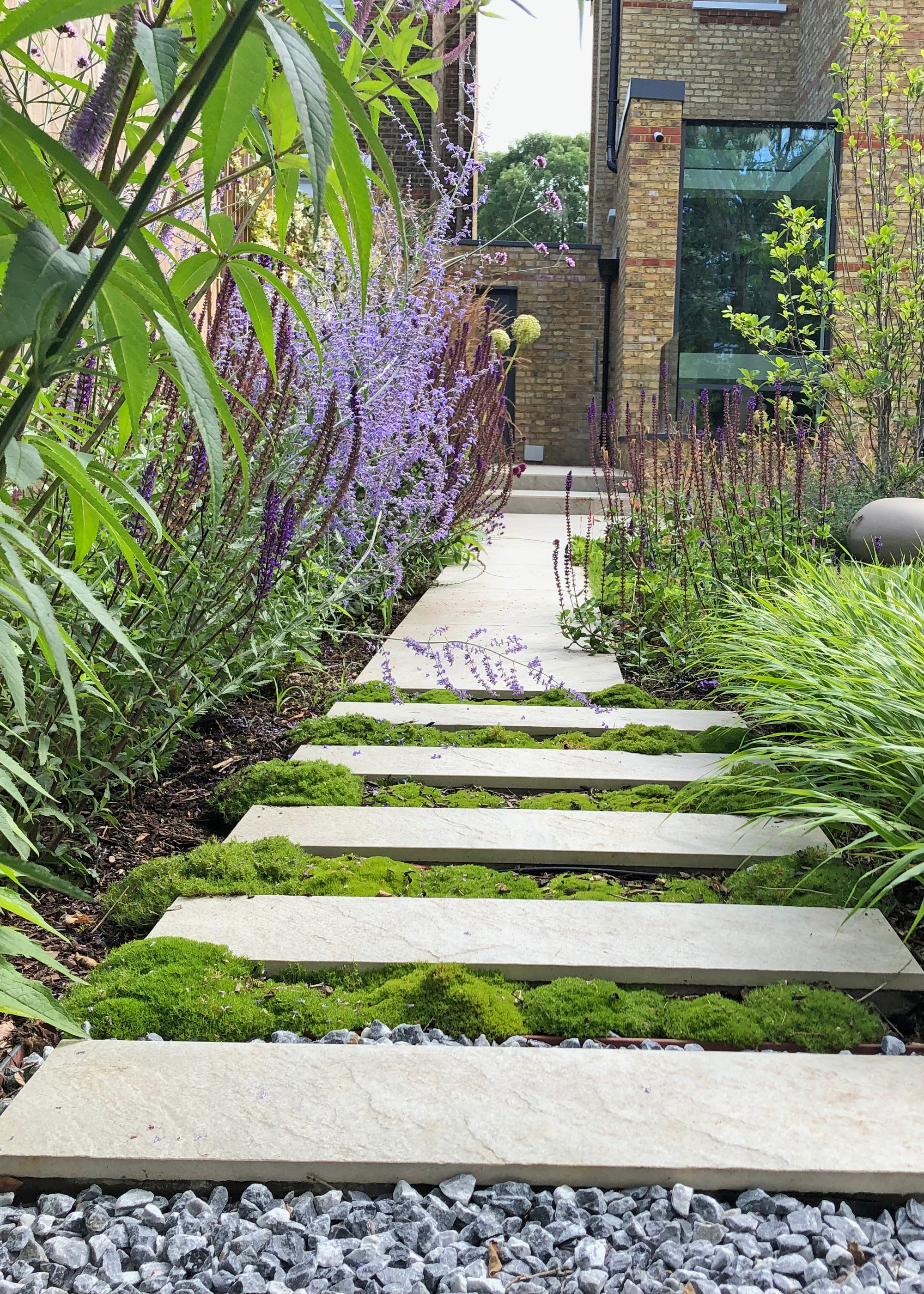 lavender plants along a border beside a smart stepping stone path