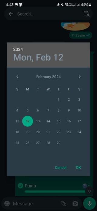 Whatsapp new search by date feature