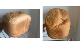 Panasonic bread maker SD-YR2550 review featured white loaf and sourdough