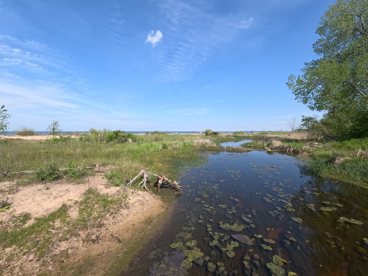 A sample image shot with the GoPro Mission 1 Pro