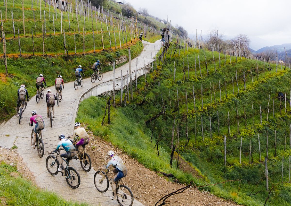 Men's leaders on a cement path
