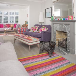 living area with dog and fireplace and sofa