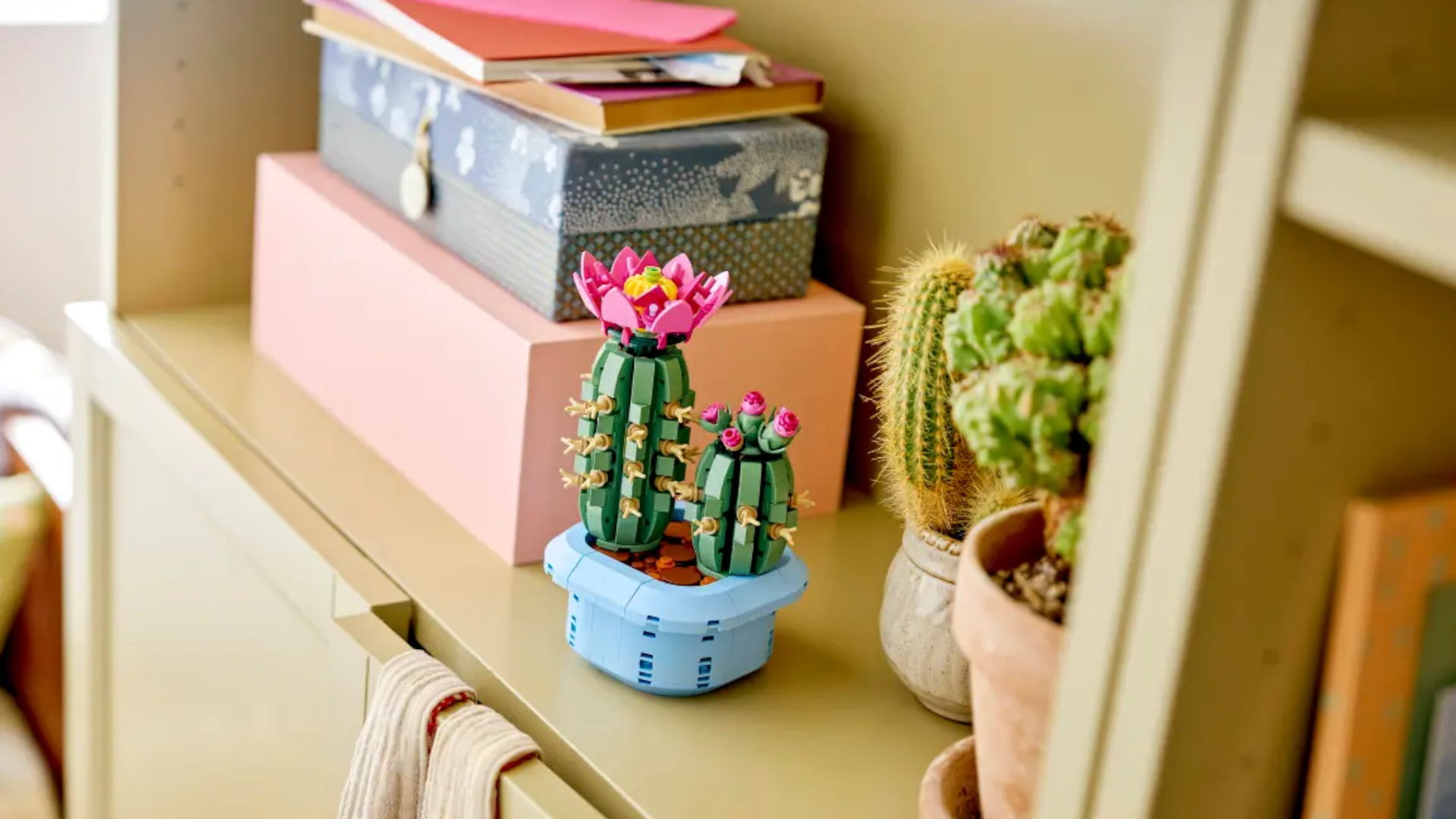 Lego Flowering Cactus set beside real cactus plants and boxes