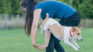 Woman teaching dog a trick