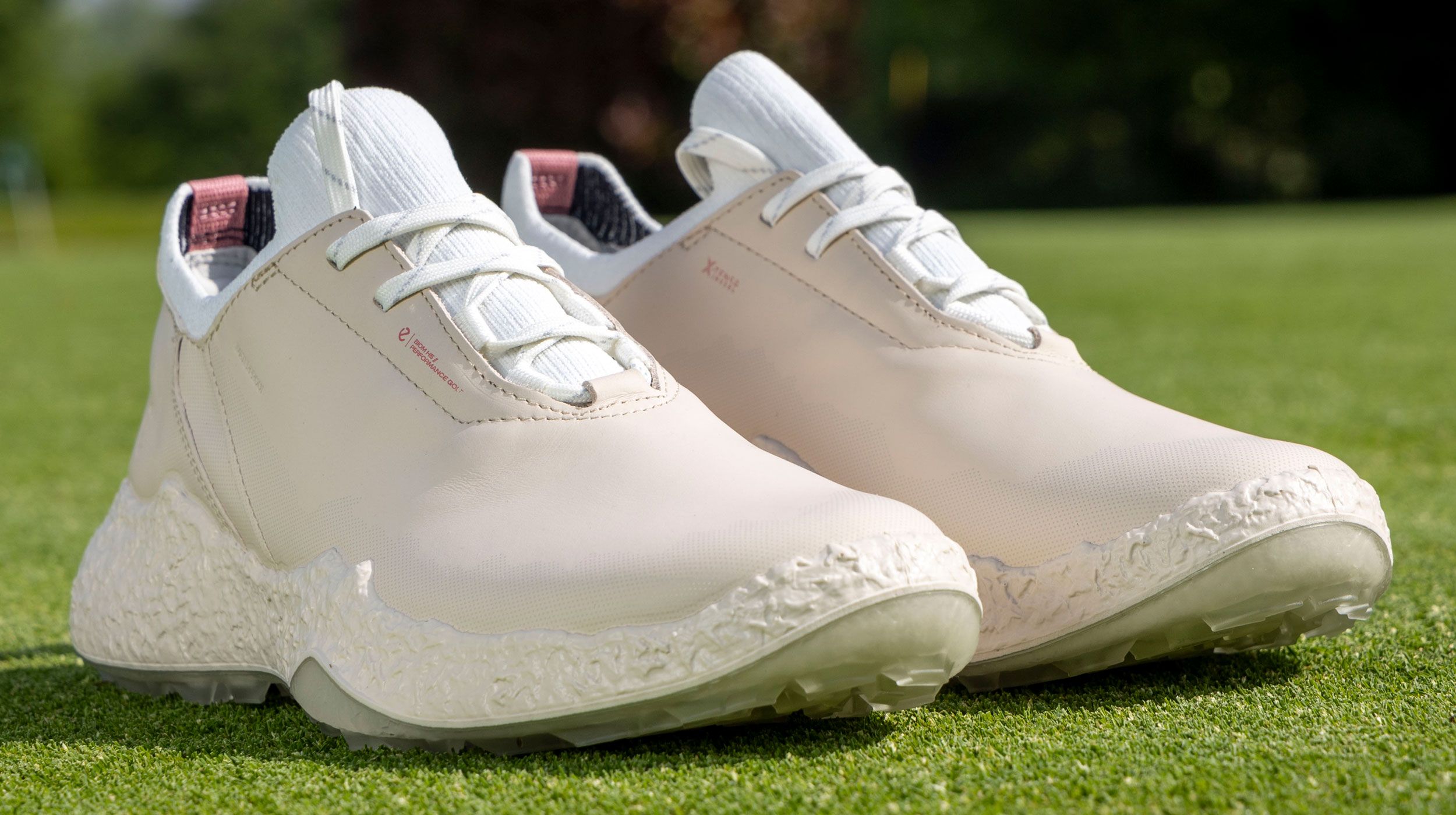 【 美品】ecco Golf Biom H5 Hybrid Men's ECCO® Golf Biom H5 Boa Leather Waterproof High-Top