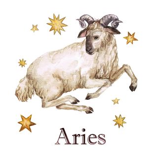 An Aries should learn a new skill in 2017