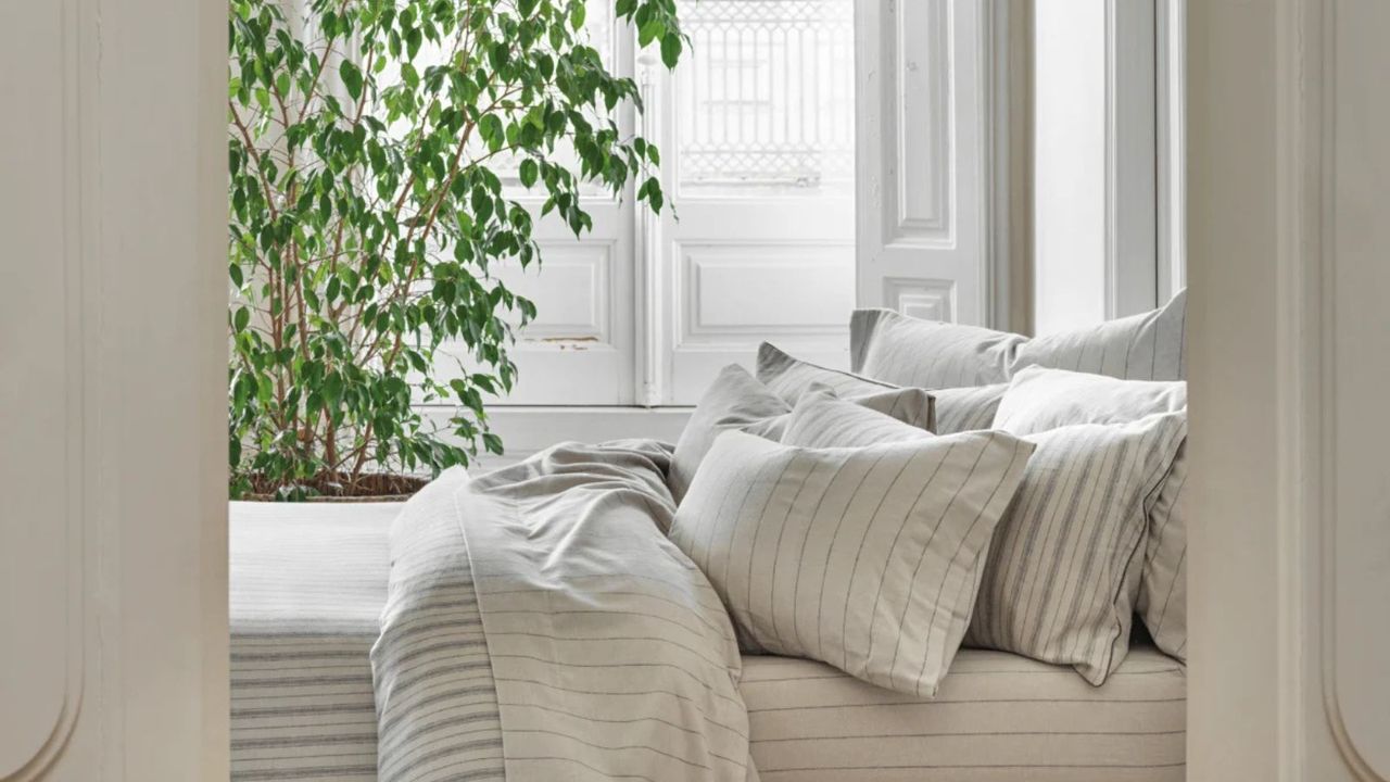 White doors opening onto a bed, covered in white and black striped bedding; in the background, windows and a leafy green houseplant.