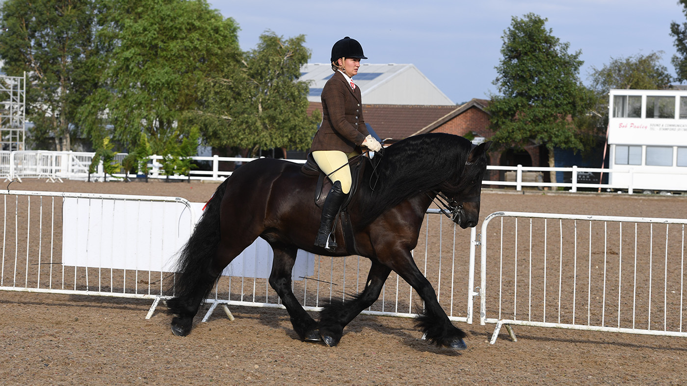 Aimee Devane and Griseburn Lester has qualified for the 2022 BSPS Heritage M&amp;amp;M supreme ridden final