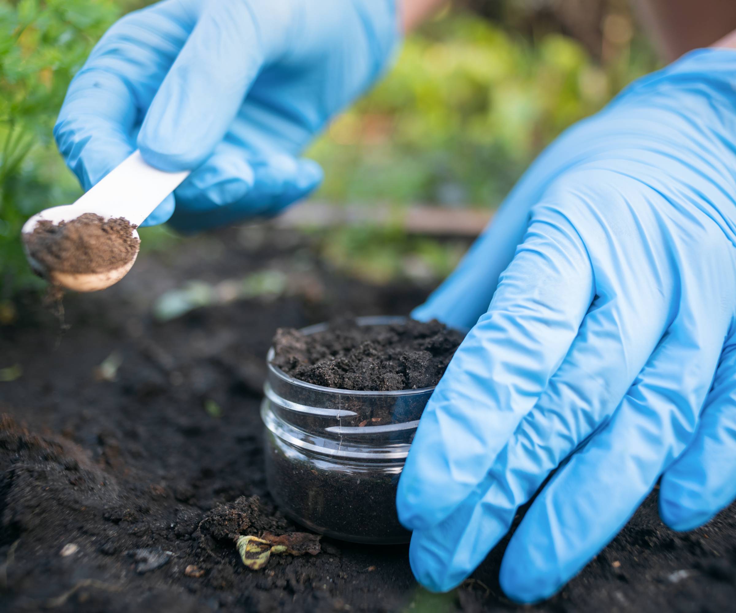 Gloved hands scoop soil into a glass jar