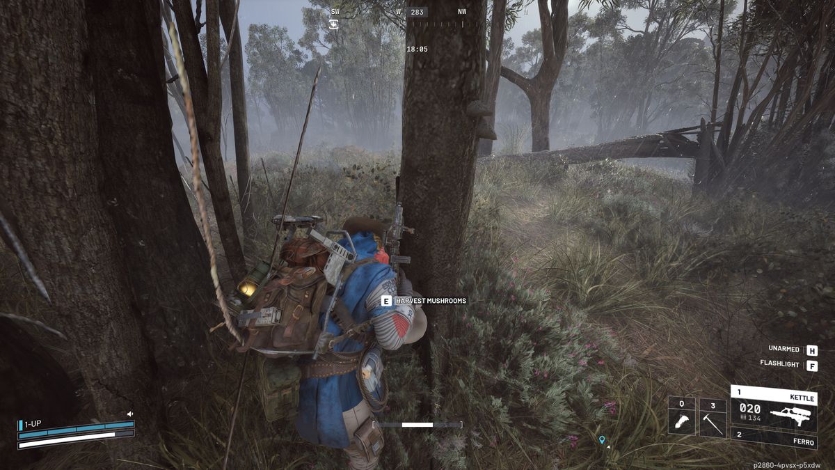 Arc Raiders mushroom locations: A player wearing a bright blue poncho collecting a mushroom from a tree in a dank forest.