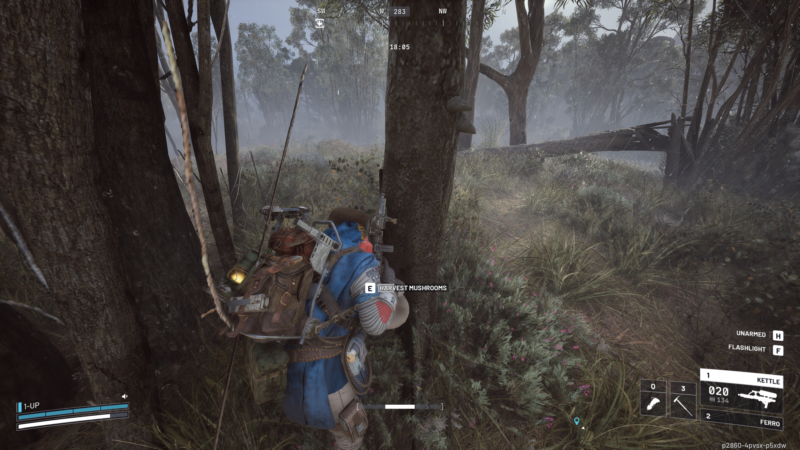 Arc Raiders mushroom locations: A player wearing a bright blue poncho collecting a mushroom from a tree in a dank forest.