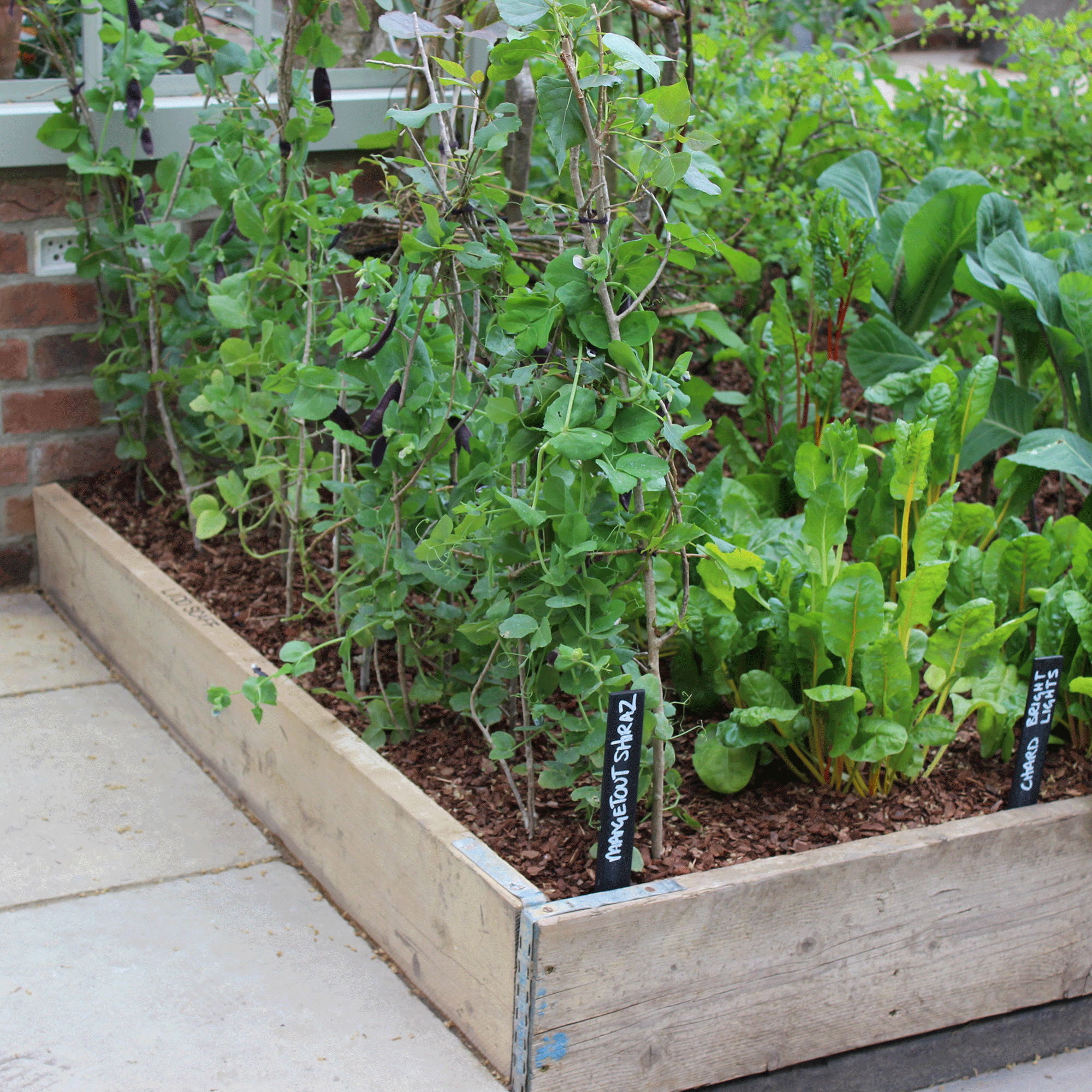 Raised bed with leafy greens