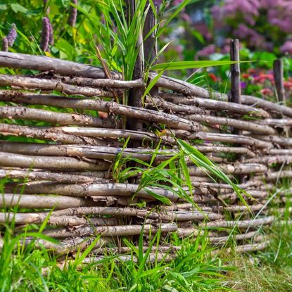 A wattle fence in a garden