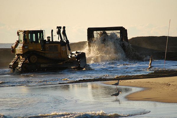 geology, science in policy and society, economics, beaches