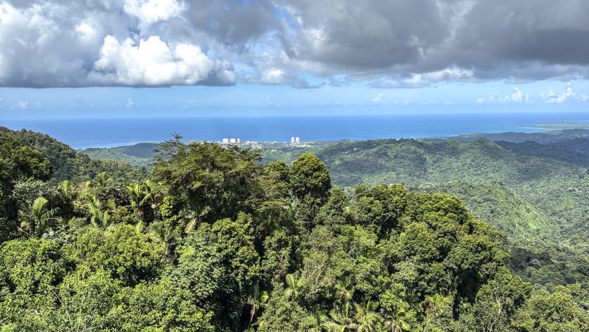 El Yunque rain forest
