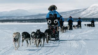 Four people driving dog sleds on the Fjällräven Polar expedition