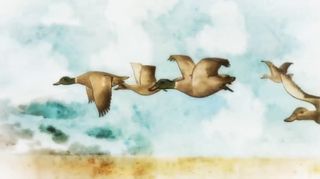 IBM employees are encouraged to be ‘wild ducks’ – independent thinkers who challenge the status quo