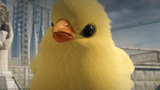 CS2 chicken pets
