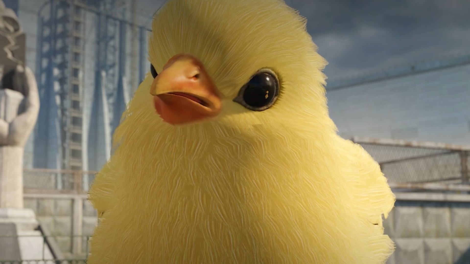 CS2 chicken pets
