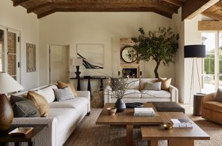 neutral living room where the colors are repeated on sofas and walls
