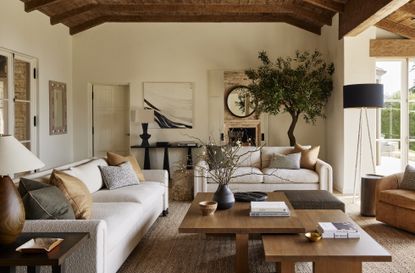 neutral living room where the colors are repeated on sofas and walls