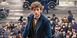 eddie redmaybe newt scamander fantastic beasts and where to find them