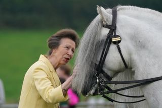 Princess Anne petting a dapple grey horse.
