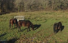 1-main-wet-ground-and-warm-so-no-rugs.jpg