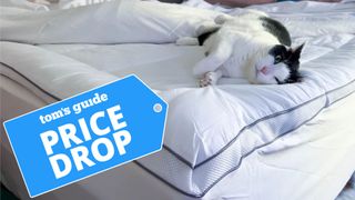 A cute, fluffy cat naps on the ViscoSoft Hybrid Lux Topper with a deals badge in the corner
