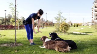 Dog trainer with two dogs laying down