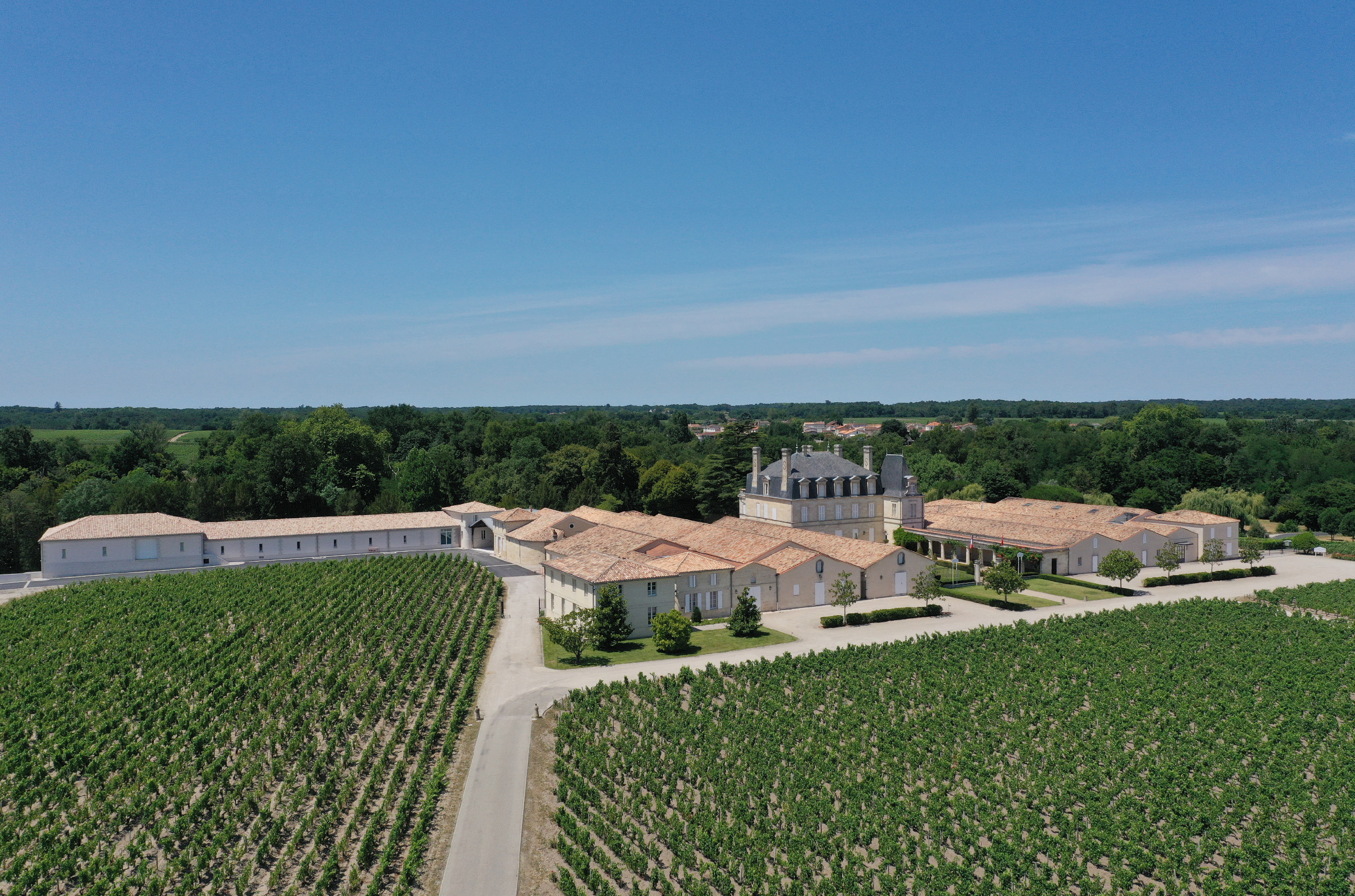 View of a large winery with a ch&acirc;teau in the middle, surrounded by green vines