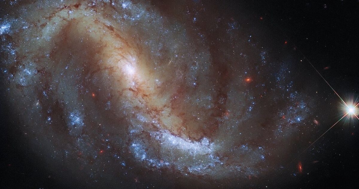 Hubble Space Telescope's cosmic birdwatching finds a crane amid the stars
