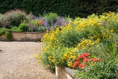 A raised bed