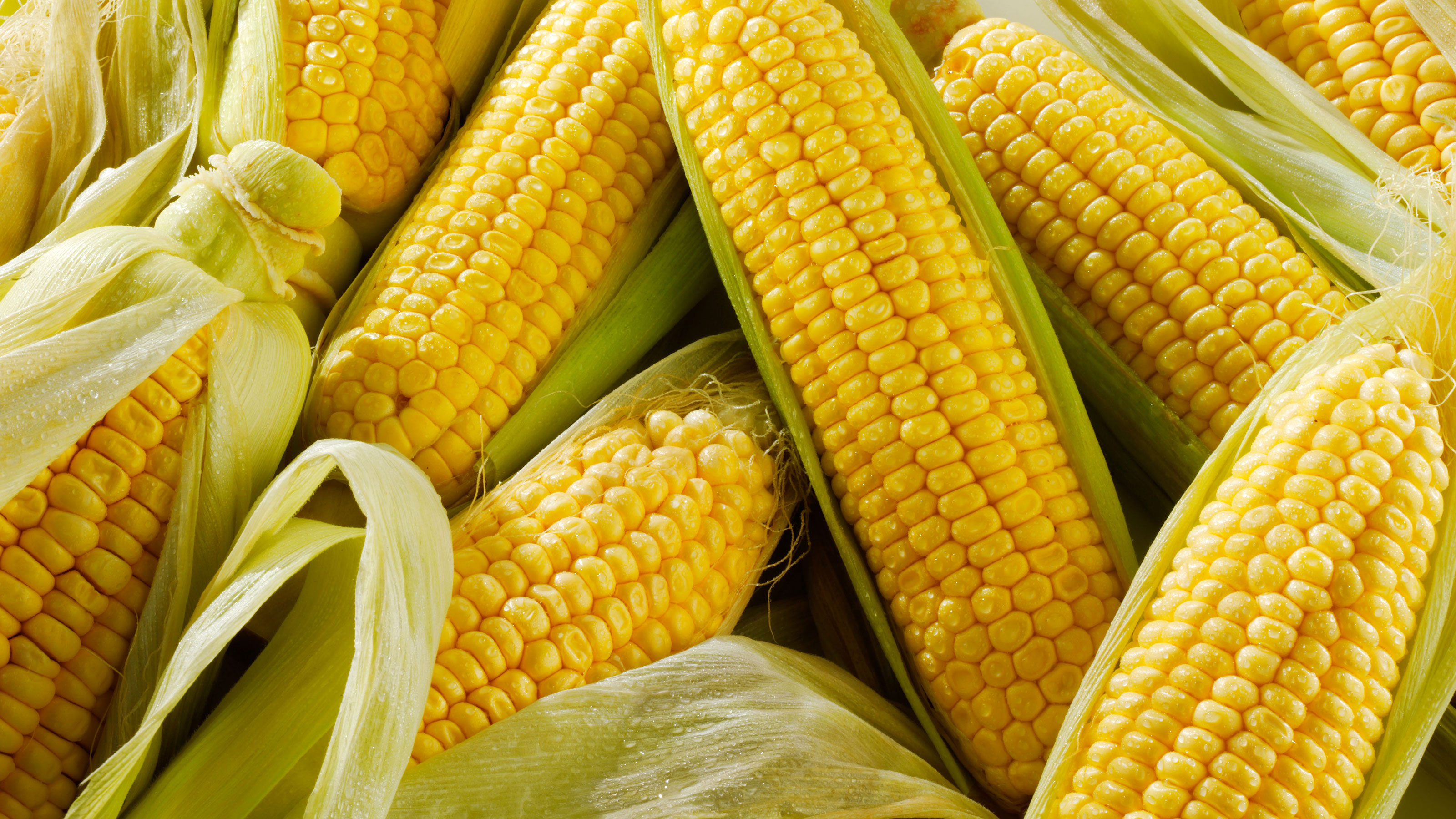 When are Sweetcorn ready to pick?